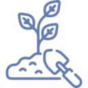 Edossa parc plantation