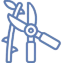 Edossa parc sécateur